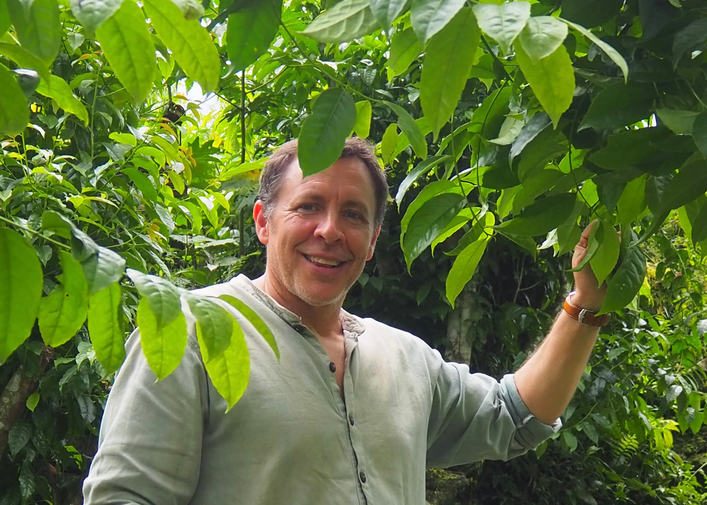 ClariTea 200g (Ilex guayusa)